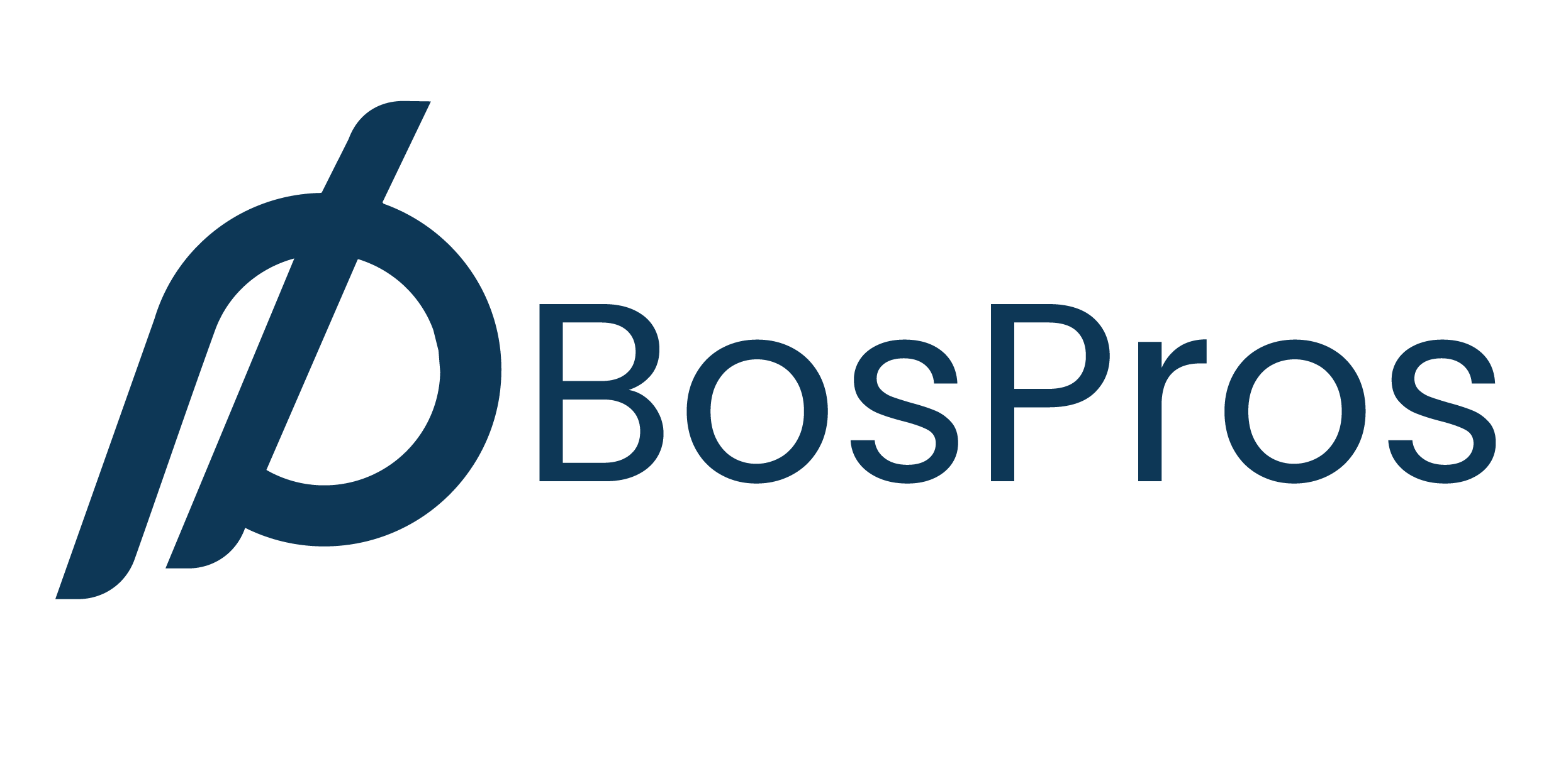 BosPros Logo